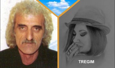 Vladimir Shyti - PËRBINDËSHI (tregim)