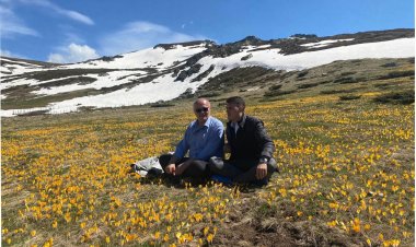 Bedri Halimi - KUR QENTË E HANË ÇOBANIN?! (tregim)