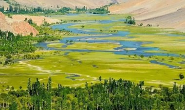 Nikollë Loka - DO TË BAHEM MAL... (poezi)