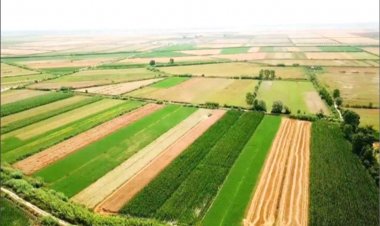 USHQIMI SI PJESË E HISTORISË, IDENTITETIT DHE KULTURËS SË MYZEQESË