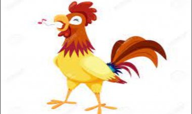 Sheremet Prokshi - GJEL KRYENEÇI (poezi për fëmijë)