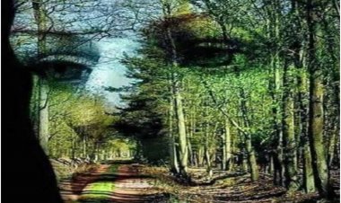 Lan Qyqalla - METAFORË E GJALLË