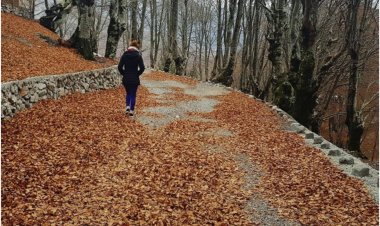 Mirije Vrangalla - NJË DOLLI