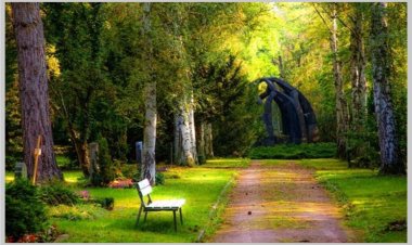 Ilirian Dahri - LOTËT E QAFË BOTËS