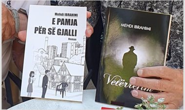 Mehdi Ibrahimi - E PAMJA PËR SË GJALLI