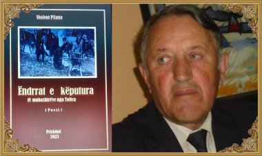 Shaban Pllana - TOPLICË DHEMBJA IME