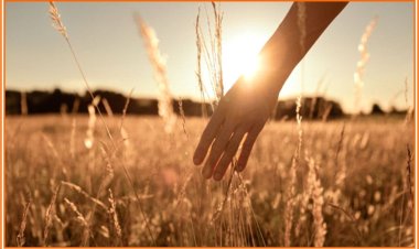 Ava Skoupsky - Ndryshimet në jetë... (Përgatiti Ismail Ismaili)