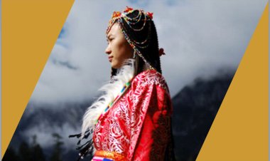 Evolucioni në punë... (Përktheu Ismail Ismaili)