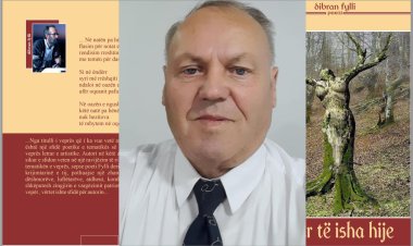 Ahmet Pllana, poet - Vështrim letrar (Libri poetik “Sikur të isha hije”)