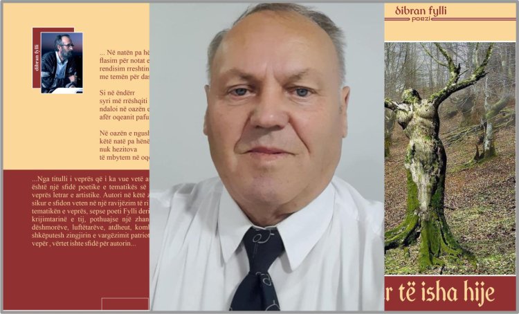 Ahmet Pllana, poet - Vështrim letrar (Libri poetik “Sikur të isha hije”)