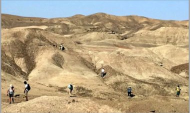 Kuptimi ynë për evolucionin njerëzor (Përktheu Ismail Ismaili)