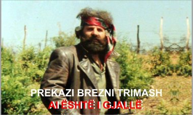 Parathënie për librin "AI ËSHTË I GJALLË" (Përgatitur në 16 gjuhë)
