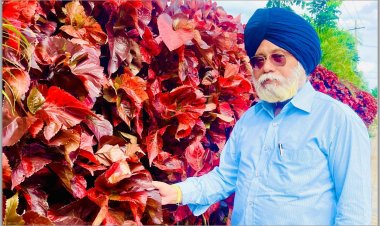 Jernail S Aanand (Përgatiti Angela Kosta)