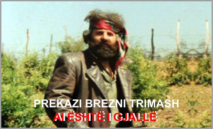 Parathënie për librin "AI ËSHTË I GJALLË" (Përgatitur në 16 gjuhë)