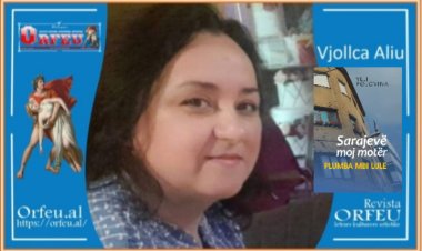 Vjollca Aliu - Vështrim