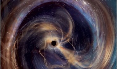 Bashkimi i vrimave të zeza... (përktheu ismail ismaili)