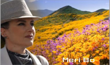 Meri Bo - Cikël poetik