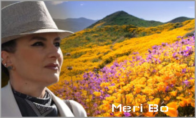 Meri Bo - Cikël poetik