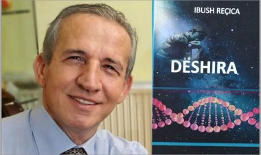 Ibush Reçica - A është dëshira për pasurim vlerë e lartë