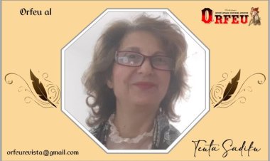 Teuta Sadiku – Analizë akademike