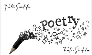 Teuta Sadiku - Kur diçka ndryshe qarkullon media shpesh "vjen pas".