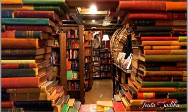 Teura Sadiku - Ese Interpretative