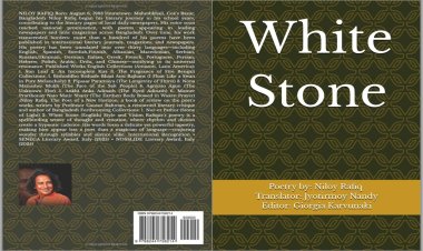 Summary analysis of the poetry book "White Stone"