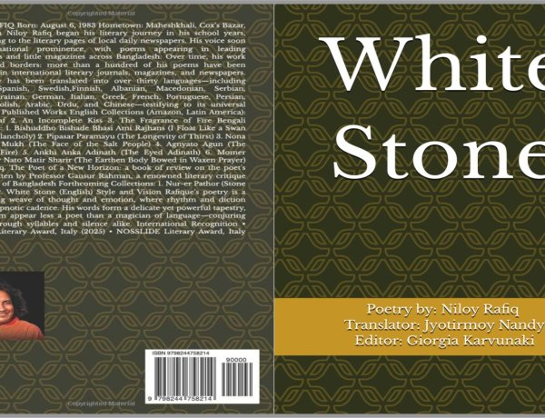 Summary analysis of the poetry book "White Stone"