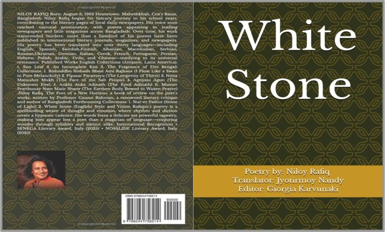 Summary analysis of the poetry book "White Stone"