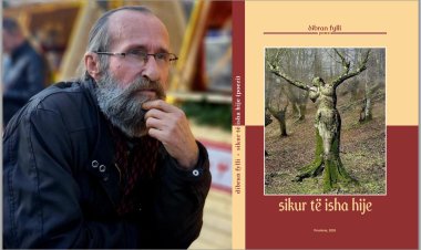 dibran fylli - cikël poetik