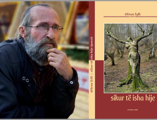 dibran fylli - cikël poetik