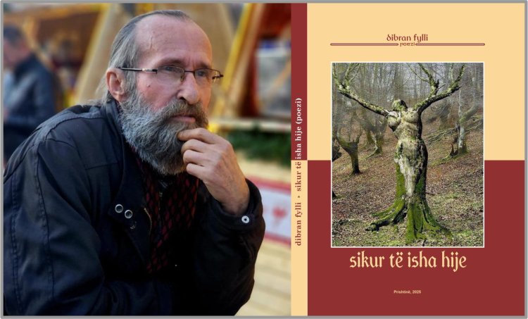 dibran fylli - cikël poetik