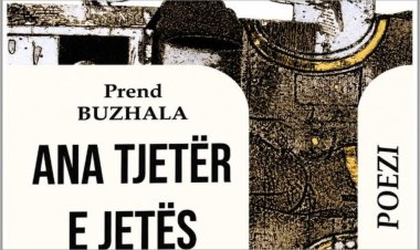 Meti Rexhepi: Arti i sintezave jetike