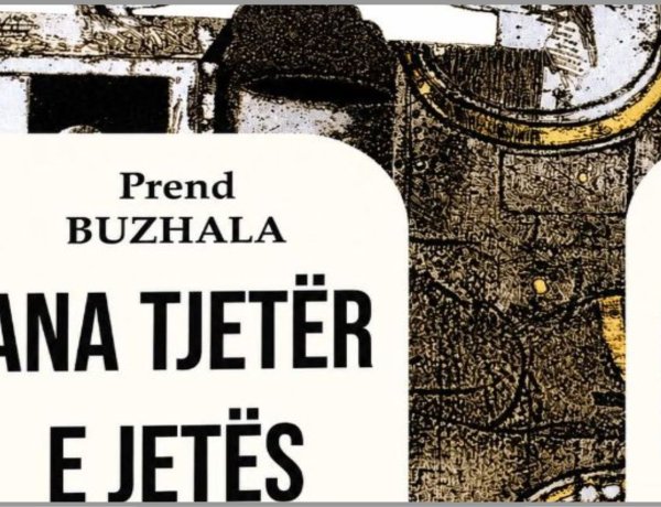 Meti Rexhepi: Arti i sintezave jetike
