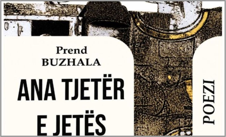 Meti Rexhepi: Arti i sintezave jetike